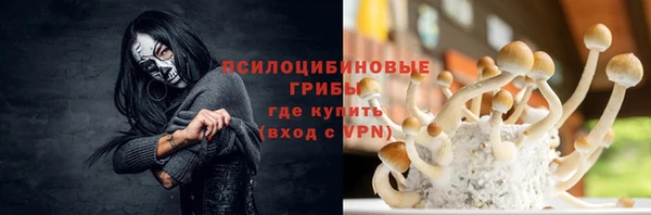 стаф Инсар