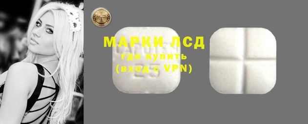 стаф Инсар